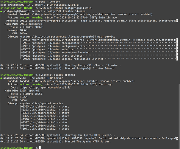 Terminal status apache postgresql